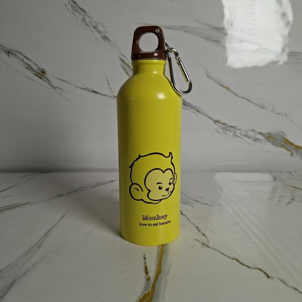 Woow 500ml Stainless Steel Water Bottle for Kids