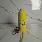 Woow 500ml Stainless Steel Water Bottle for Kids