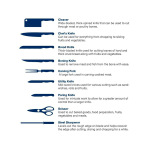 Arshia 10-Piece 304 Stainless Steel Knife Set with Stand – Full Tang